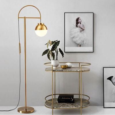 Adjustable Gold Home Decor Floor Stand Lights for Living Room Marie Adjustable Floor Lamp (WH-MFL-168)