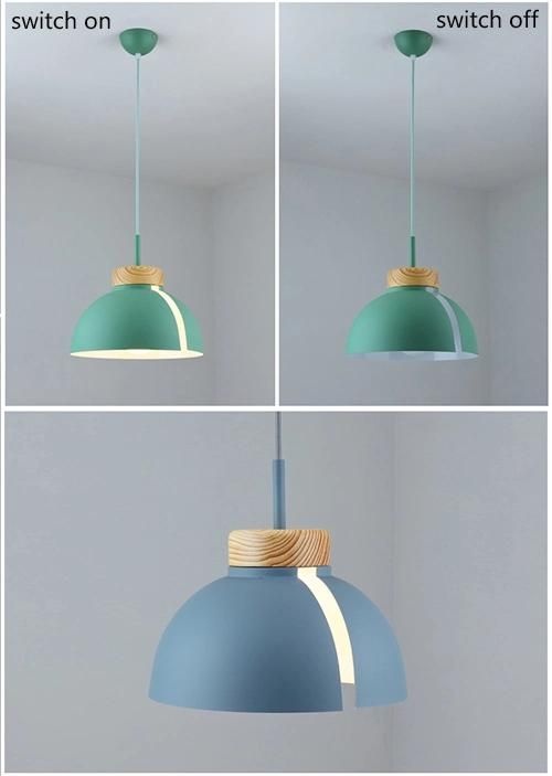 Europe Decorative LED Pendant Light Modern Pendant Lighting Hanging Pendant Lights