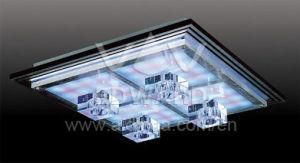LED Ceiling Light (25051/4Y)