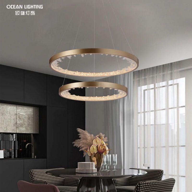 2022 Modern LED Ceiling Pendant Light for Island Om820102A-60+40 2 Ring