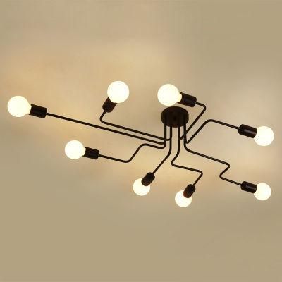 Vintage Retro Industrial Ceiling Lighting for Indoor Home Lighting Fixtures (WH-LA-12)