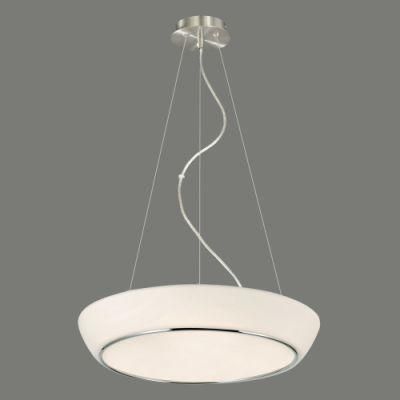 Simple Round Opal Glass Pendant Light with Energy Saving Lamp
