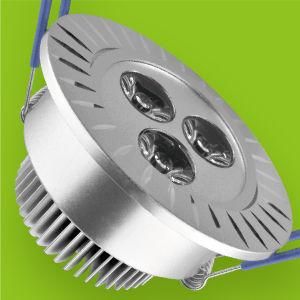 LED Downlight (RAY-08W3)