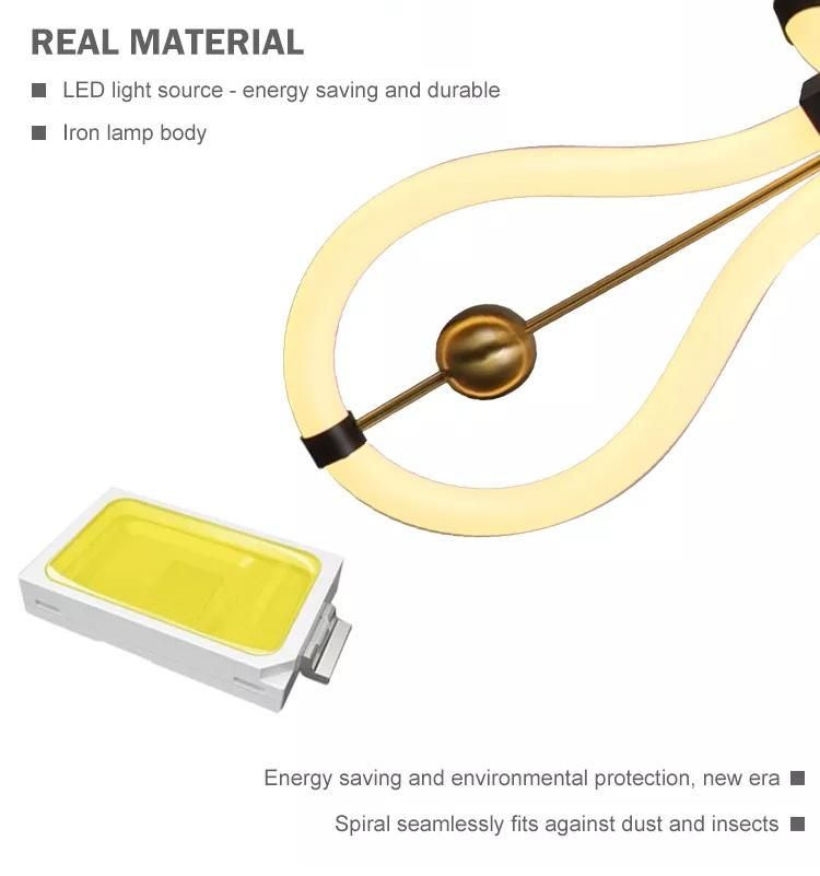 Fashionable Hanging Modern Luminous Sport Black LED Chandelier Pendant Light