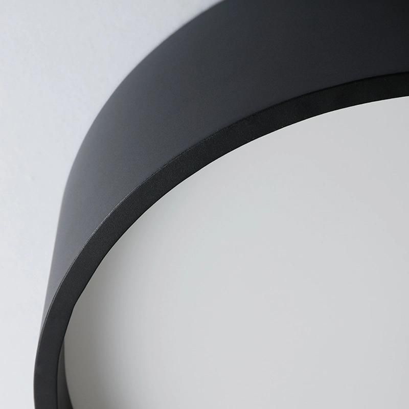 Modern Simple Decorative LED Ceiling Light