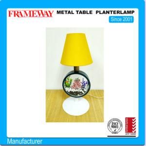 Custom Manufacturing Home Deco Metal Table Planterlamp with Arylic Water Tank Powder Coated