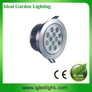 IG-LED Ceiling Light 12*1