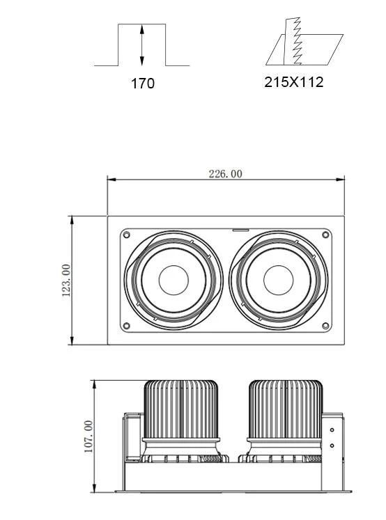2X18W Double Head 2790lm 3000K 15deg 30deg 50deg Spotlight LED Downlight