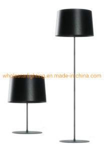 Modern Metal Floor Lamp and Table Lamp (WH-566)