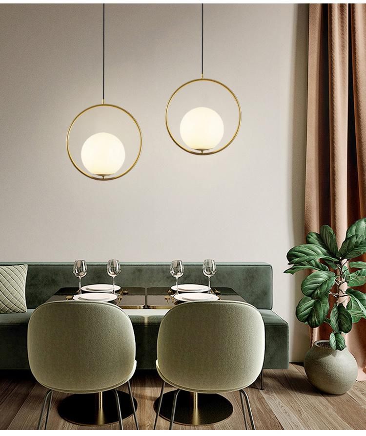 Modern Pendant Light Simple Acrylic Ball Bedside Hanging Light Round Ball Global Pendant Lamp (WH-GP-38)