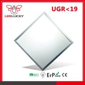 42W Dimmable and Dali LED Panel Lights with 3years Warranty Time