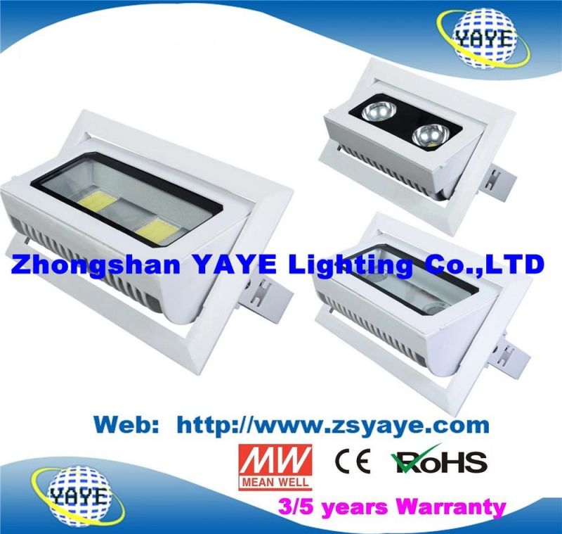 Yaye 18 Hot Sell Bridgelux Chips Meanwell Driver 3/5 Years Waterproof 40W LED Downlight /LED Ceiling Lights