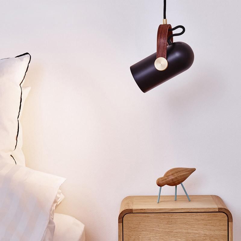 Nordic Style Home Decoration Small Room Lighting Designer Pendant Light Minimalism Kitchen Study Pendant Light (WH-AP-243)