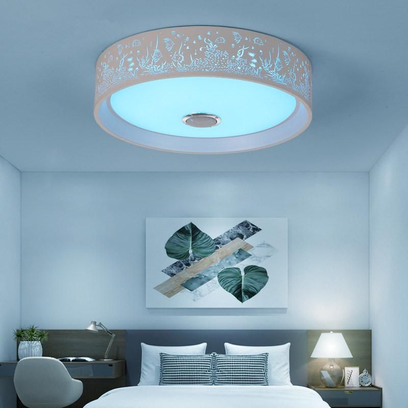 Bedroom Ceiling Lamp Music Bluetooth and Remote Control LED Smart Ceiling Light Fixtures (WH-MA-45)