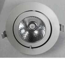 25W COB Trunk Lamp/ Gimble Down Light (HY-XP-25W-A)