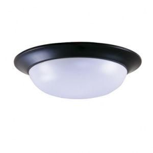 Frosted Acrylic Diffuser Ceiling Lamp with UL Approval