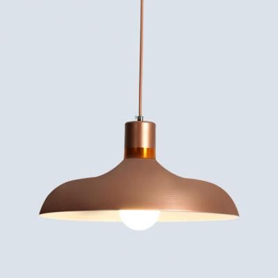 Modern Indoor Chandelier Pendant Lamp for Interior Lighting