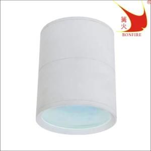 Hot Sales Lamp IP54 Surface Ceiling Lamp Waterproof Light Outdoor Light