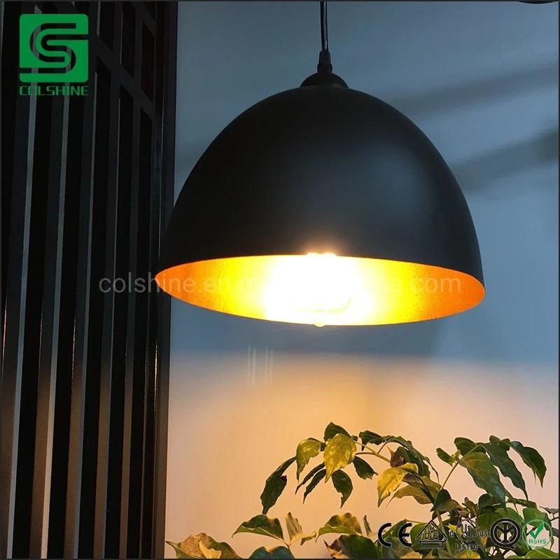 Modern Charcoal Copper Lined Metal Pendant Lamp