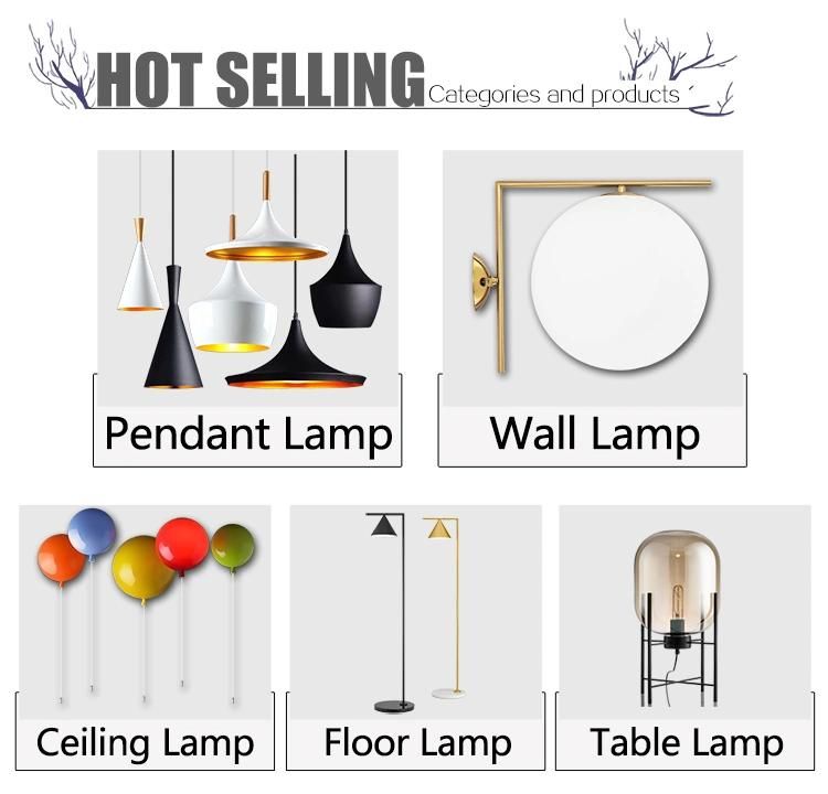 Modern Indoor Decoration Hanging Lighting Modern Pendant Lamp