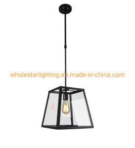 Metal Pendant Lamp with Glass Shade (WHG-004)