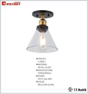 Simple Decorative Glass Lampshade Ceiling Lighting (C-3695-1)