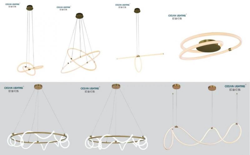 2020 Year China Manufacturer Supply New Design Ceiling Lighting