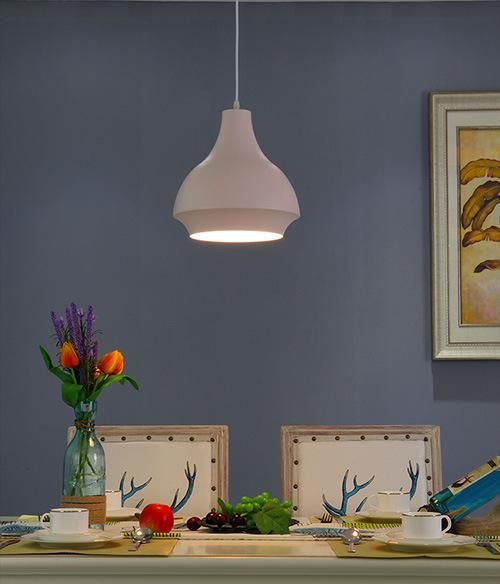 Hanging Pendant Lamp Hanging Ceiling Lights for Indoor Lighting Decoration