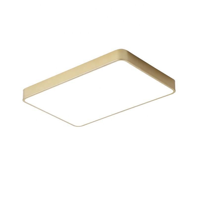Modern Light Fixture House LED Surface Mounted Ceiling Light