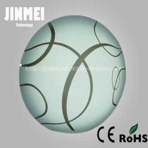 LED Ceiling Light Fixture (JM-XDR015)