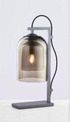 Modern Double Glass Table Desk Lamp (T-3100)