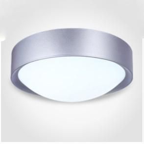 Silver Color LED Ceiling Light