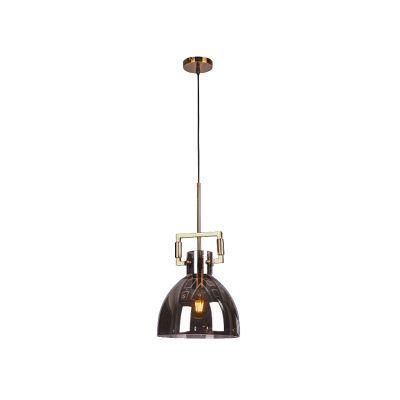 One Lite Smoky Glass Pendant Lamp in Matt Gold