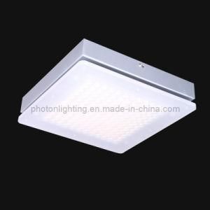LED Ceiling Light / LED Ceiling Lamp (PT-LED 262/28)