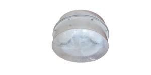 Ceiling Light with Induction Lamp 40W 5000k