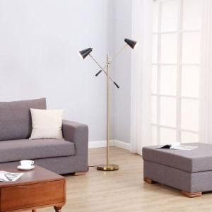 Modern Gold Floor Lamp, Black Metal Floor Lamp, 2 Adjustable Arms