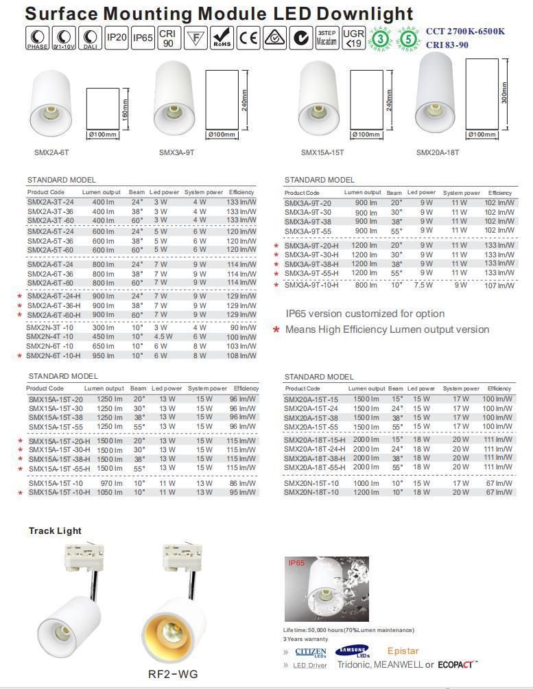 Shenzhen Factory Aluminum 20W COB Down Light IP65 LED Downlight Surface Mounted Downlight