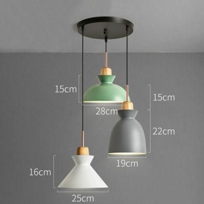 Modern Pendant Lighting Home Lighting Chandelier Light Pendant Lamp for Interior