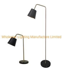 Metal Table Lamp and Floor Lamp, Hotel Guestroom Lamp (WH-407TF)