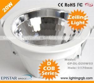 COB 1*20W LED Ceiling Light/ LED Ceiling Lamp/ LED Downlight/LED Cabinet Light