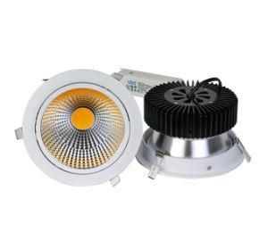 2015 New Products China Supplier 40W COB LED Downlight for Living Room