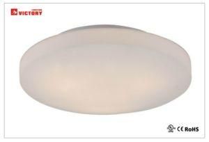 Decorative Hotel Popular Ceiling LED Lighting with Ce Approval