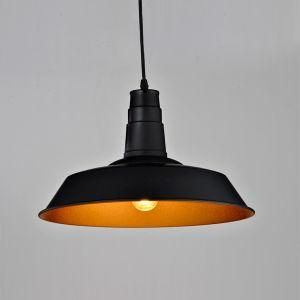 Black Color Chandelier Pendant Lamp (EM1810-1)