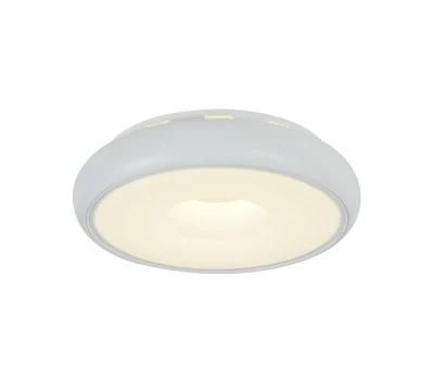 20W LED Ceiling Lamp with High Quality C53003
