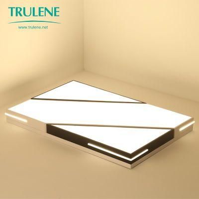 Nordic LED Dimmable Ceiling Light Decorative Ceiling LED Lights