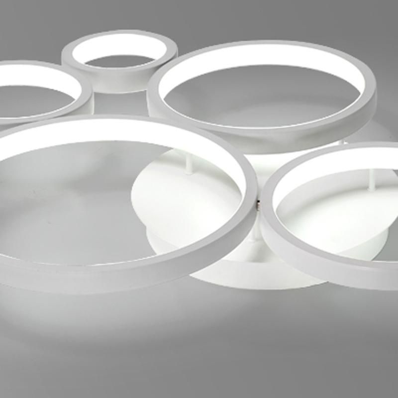 Simple Modern Creative and Individual LED Ceiling Light Household Circle Living Room Lamp