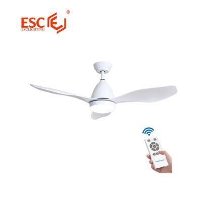 48 Inch Remote Control 3 ABS Plastic Blades DC Ceiling Fans with LED Lights Remote Control