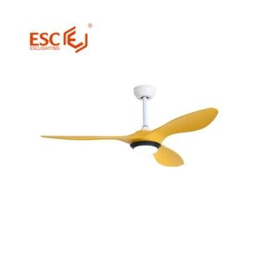 Mute Motor ABS Blade Remote Control 5 Fan Speed 52 Inch BLDC Ceiling Fan Fan with Light