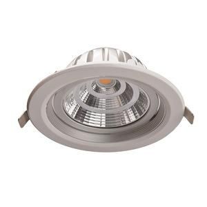 LED Downlight