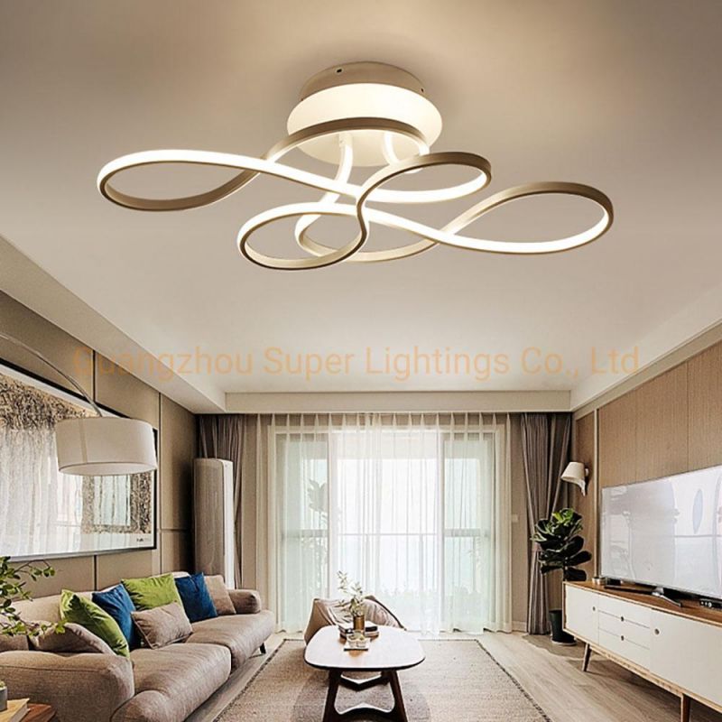 Circular LED Pendant Lights for Home Pendant Round Lighting